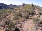 Mount Ajo, Arizona