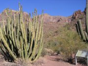 Mount Ajo, Arizona