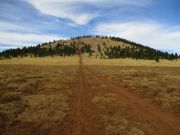 Antelope Hill Coconino Forest, Arizona