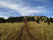 Antelope Hill Coconino Forest, Arizona