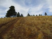 Antelope Hill Coconino Forest, Arizona