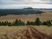 Antelope Hill Coconino Forest, Arizona