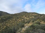 Aquarius Mountain, Arizona