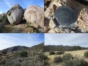 Aquarius Mountain, Arizona