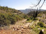 Armer Mountain, Arizona