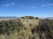 Ash Benchmark, San Carlos Nation