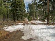 Baker Butte Mogollon Rim, Arizona