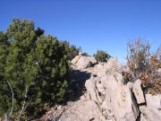 Bassett Peak, Arizona