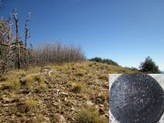 Mount Bigelow, Arizona