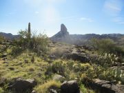 Black Top Mesa, Arizona