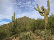 Blue Point Ridge Water Users Peak, Arizona