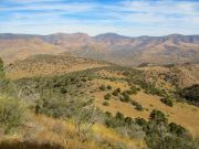 Boneyback Peak, Arizona