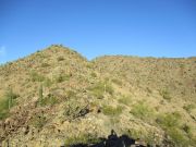 Booth Hills, Arizona