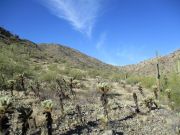 Booth Hills, Arizona