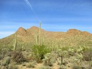 Bren Benchmark, Arizona