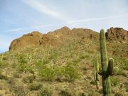 Bren Benchmark, Arizona