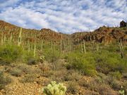 Bren Benchmark, Arizona