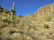 Bren Benchmark, Arizona