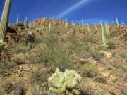 Bren Benchmark, Arizona