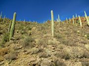 Bren Benchmark, Arizona