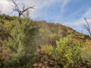 Brins Butte Mesa, Arizona