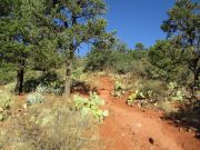 Brins Butte Mesa, Arizona