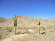 Bursera Peak South Mountain Phoenix, Arizona