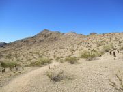 Bursera Peak South Mountain Phoenix, Arizona