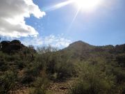 Butcher Jones Saguaro Lake, Arizona