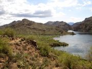 Butcher Jones Saguaro Lake, Arizona