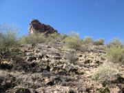 Butcher Jones Saguaro Lake, Arizona