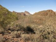 Cat Mountain, Arizona