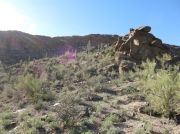 Cat Mountain, Arizona