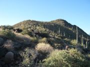 Black Mountain Cave Creek Carefree, Arizona