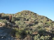 Black Mountain Cave Creek Carefree, Arizona