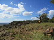 Chavez Mountain, Arizona