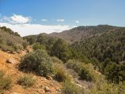 Cherum Peak, Arizona