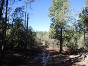 Christopher Mountain, Arizona