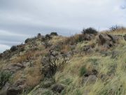 chrome butte, arizona