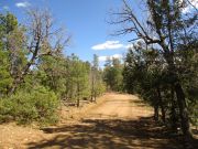 Colcord Mountain Lookout, Arizona