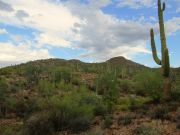 Comet Peak, Arizona