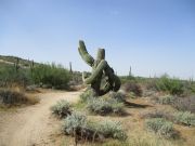 Cone Mountain, Arizona