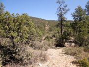 Connell Mountain, Arizona