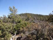 Connell Mountain, Arizona