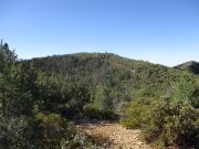 Cornucopia Ridge, Arizona