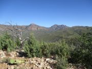 Cornucopia Ridge, Arizona