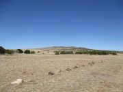 Coyote Hills State Benchmark, Arizona