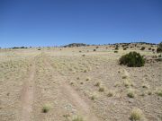 Coyote Hills State Benchmark, Arizona