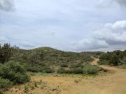 Cramm Mountain, Arizona