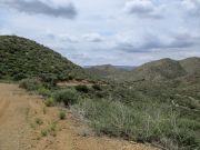 Cramm Mountain, Arizona